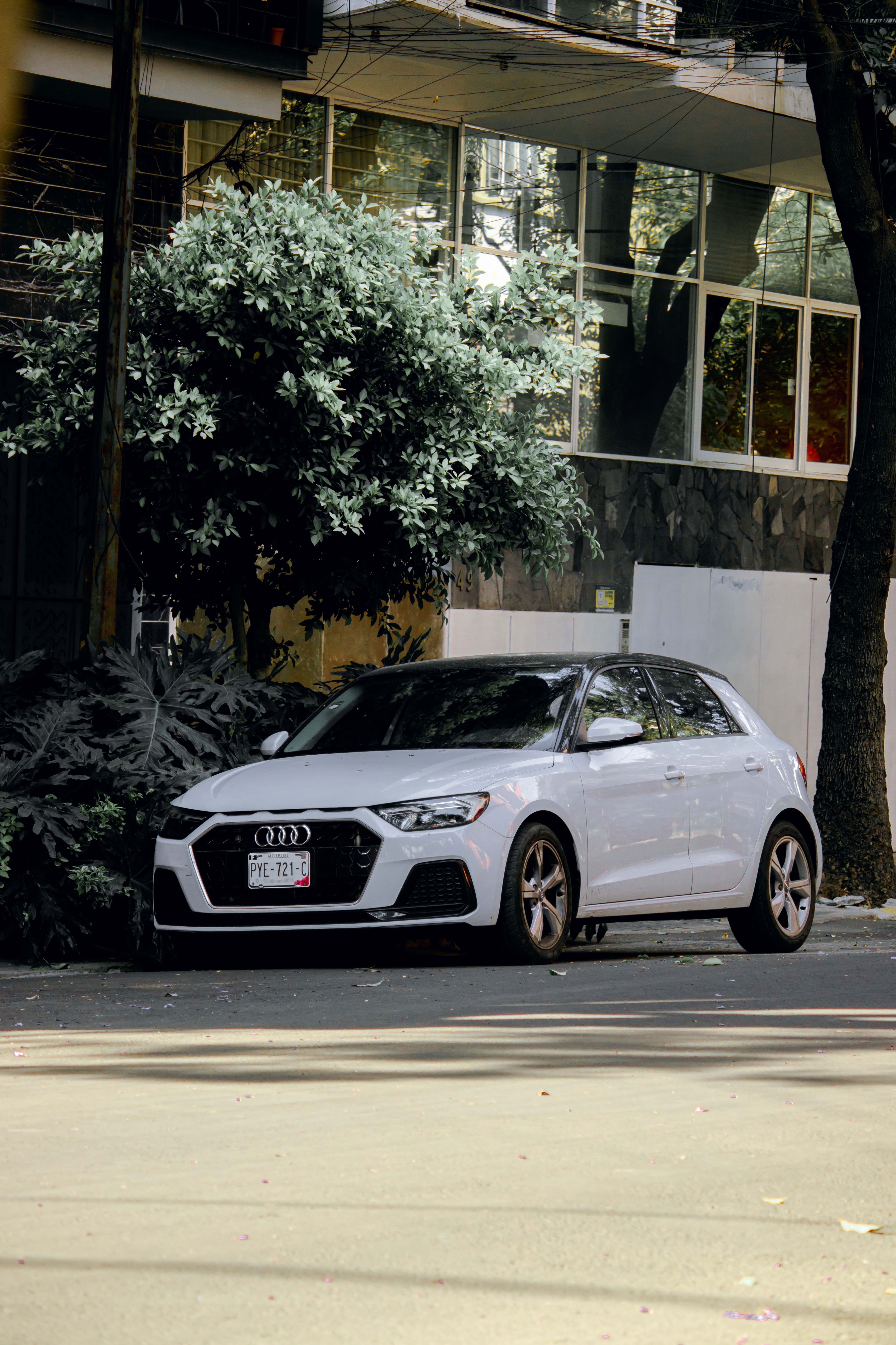 Audi A1 in Weiß auf einer baumgesäumten Stadtstraße